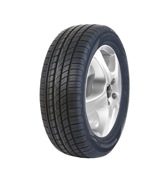Fortune FSR303 245/45 R20 103 W