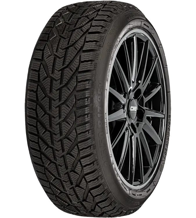 Kormoran Snow 205/55 R16 91 T