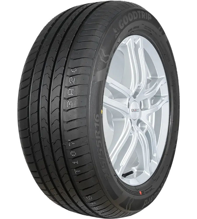 Goodtrip BlueGuard 205/55 R16 91 W