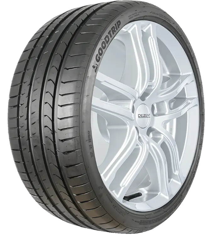 Goodtrip SportGuard 225/55 R18 98 V