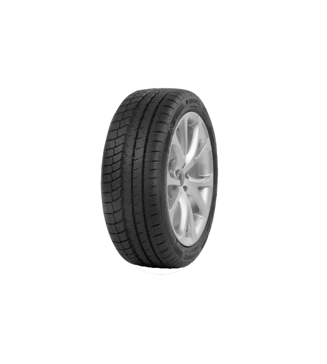 Davanti WINTOURA+ 245/45 R17 99 V XL