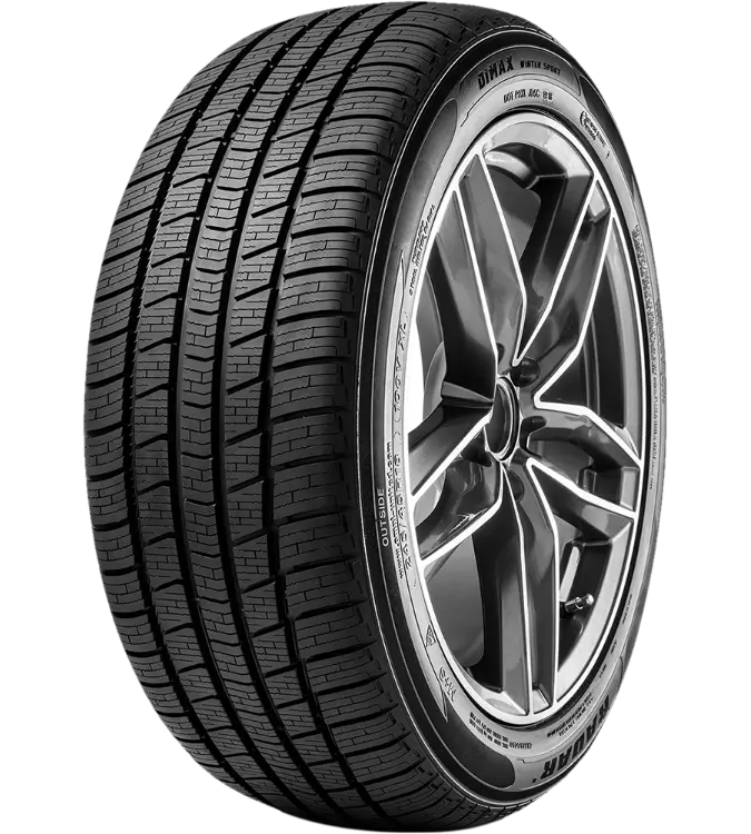 Radar Dimax Winter Sport 295/35 R21 107 V XL