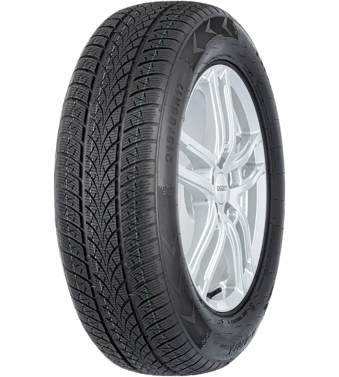 Triangle Winter X TW401 225/60 R17 103 V XL