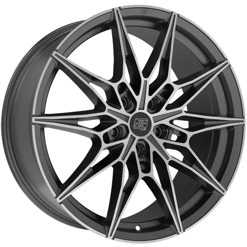 MSW 75 Matt Grey Polished 9,00x20 5x120,00 ET35,00