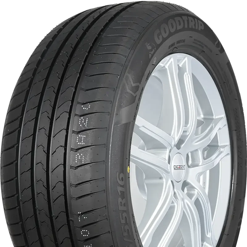 Goodtrip BlueGuard 215/60 R16 95 H