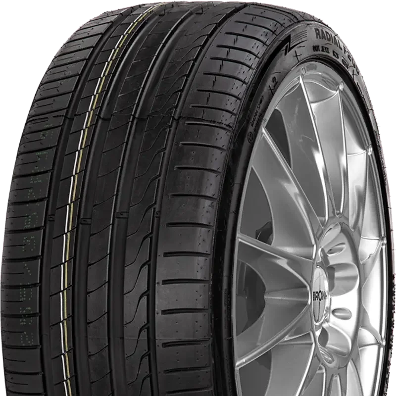 Minerva F205 225/55 R17 97 W