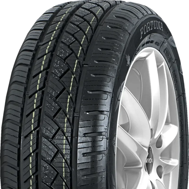 Fortuna Ecoplus 4S 165/70 R14 81 T
