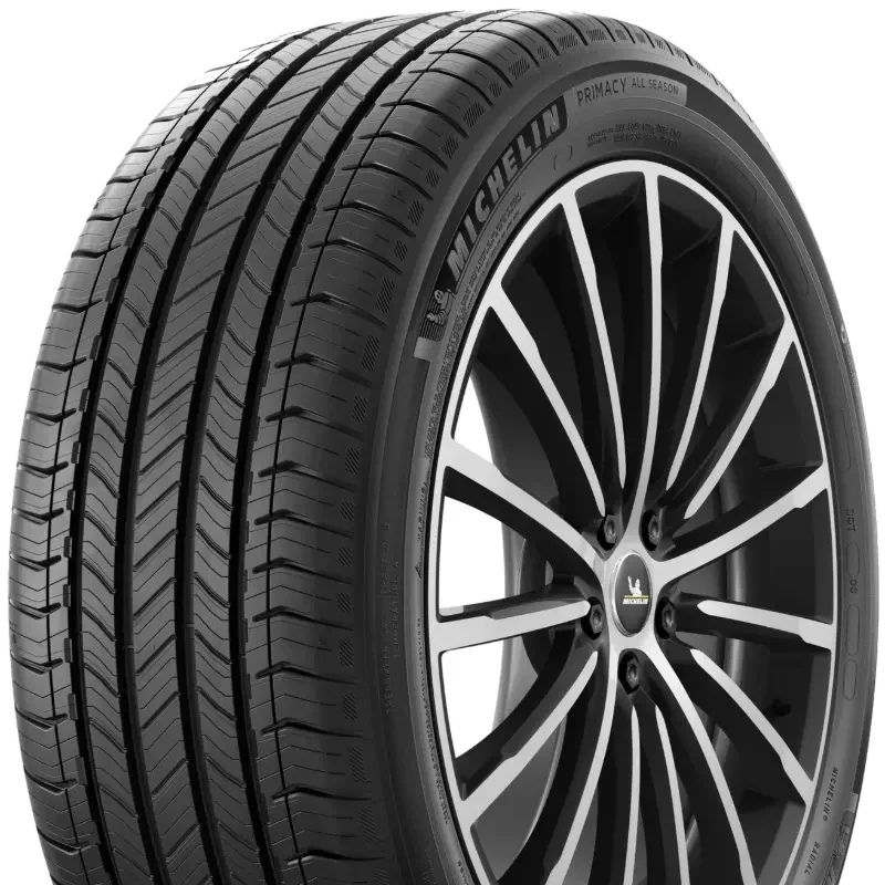 Michelin Primacy All Season 255/55 R20 110 V XL