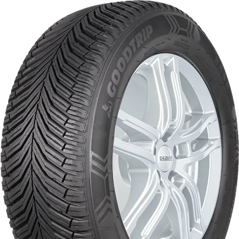 Goodtrip BlueGuard AS 195/65 R15 95 H XL