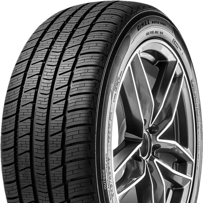 Radar Dimax Winter Sport 165/70 R14 81 H