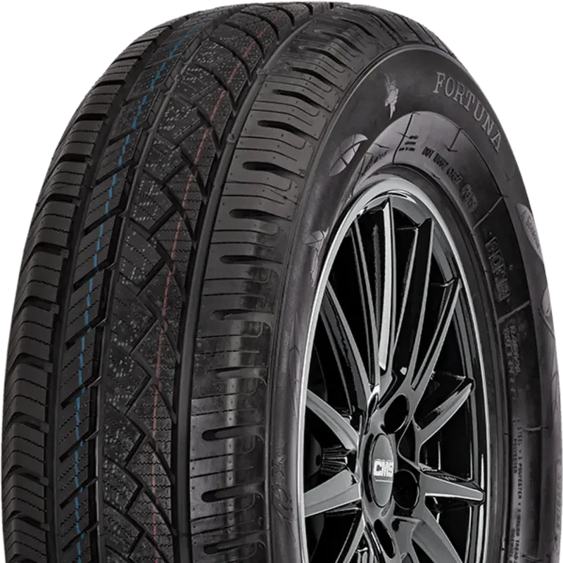 Fortuna Ecoplus Van 4S 215/65 R16 109 T C