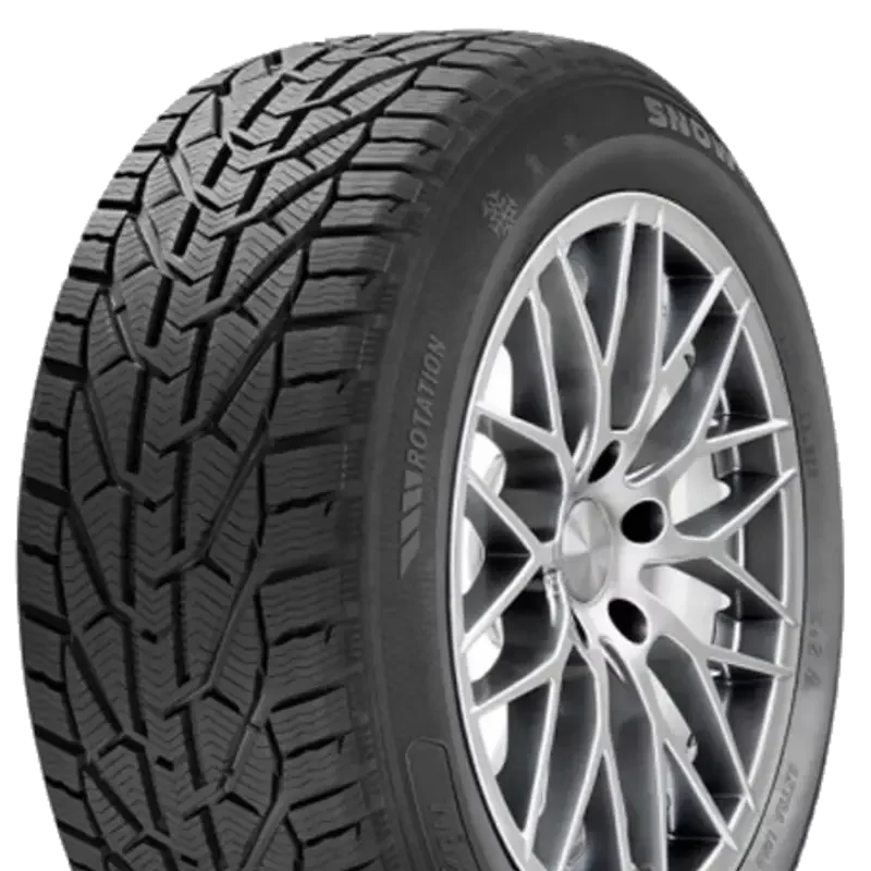 Riken Snow 195/65 R15 91 T